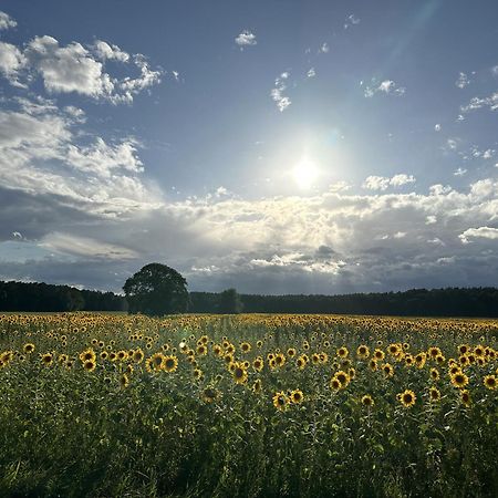 Apartamento Urlaub Auf Dem Land Triepkendorf Exterior foto