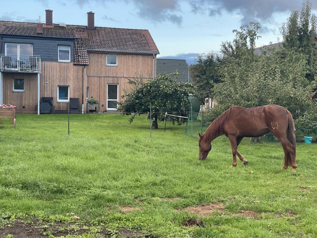 Apartamento Urlaub Auf Dem Land Triepkendorf Exterior foto